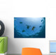 USA, Green Sea Turtles swimming near surface Wall Mural