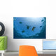 USA, Green Sea Turtles swimming near surface Wall Mural
