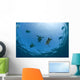 USA, Green Sea Turtles swimming near surface Wall Mural