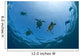 USA, Green Sea Turtles swimming near surface Wall Mural