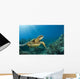 Hawaii, Green Sea Turtle An Endangered Species Wall Mural