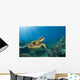 Hawaii, Green Sea Turtle An Endangered Species Wall Mural