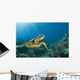 Hawaii, Green Sea Turtle An Endangered Species Wall Mural