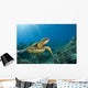 Hawaii, Green Sea Turtle An Endangered Species Wall Mural