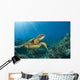 Hawaii, Green Sea Turtle An Endangered Species Wall Mural