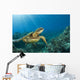 Hawaii, Green Sea Turtle An Endangered Species Wall Mural