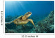 Hawaii, Green Sea Turtle An Endangered Species Wall Mural