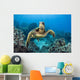 USA, Green Sea Turtle Wall Mural