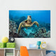 USA, Green Sea Turtle Wall Mural