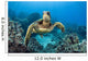 USA, Green Sea Turtle Wall Mural