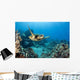 USA, Green Sea Turtle Wall Mural