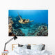 USA, Green Sea Turtle Wall Mural
