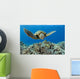 USA, Green Sea Turtle Wall Mural