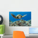 USA, Green Sea Turtle Wall Mural