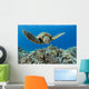 USA, Green Sea Turtle Wall Mural