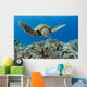 USA, Green Sea Turtle Wall Mural
