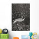 Malaysia, Sipidan, Green Sea Turtle With Schooling Fish Wall Mural