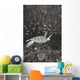 Malaysia, Sipidan, Green Sea Turtle With Schooling Fish Wall Mural