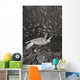 Malaysia, Sipidan, Green Sea Turtle With Schooling Fish Wall Mural