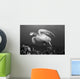 Hawaii, Maui, Green Sea Turtle Swimming Over Coral Reef Wall Mural