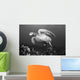 Hawaii, Maui, Green Sea Turtle Swimming Over Coral Reef Wall Mural