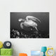 Hawaii, Maui, Green Sea Turtle Swimming Over Coral Reef Wall Mural
