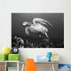 Hawaii, Maui, Green Sea Turtle Swimming Over Coral Reef Wall Mural