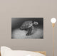 USA, Green Sea Turtle on bottom of ocean Wall Mural