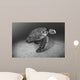 USA, Green Sea Turtle on bottom of ocean Wall Mural