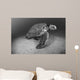 USA, Green Sea Turtle on bottom of ocean Wall Mural