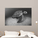 USA, Green Sea Turtle on bottom of ocean Wall Mural