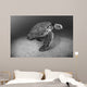 USA, Green Sea Turtle on bottom of ocean Wall Mural
