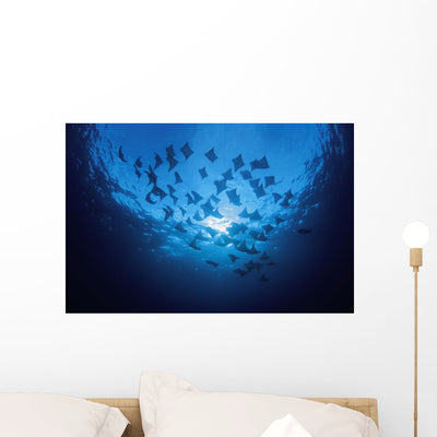 Ecuador School Cownose Rays Wall Mural shown on a wall