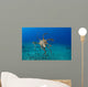 USA, Day Octopus Wall Mural