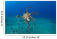 USA, Day Octopus Wall Mural