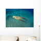 USA, Day Octopus Wall Mural
