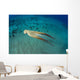 USA, Day Octopus Wall Mural