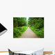 Walking Path in Capilano Park, Vancouver Wall Mural