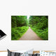 Walking Path in Capilano Park, Vancouver Wall Mural