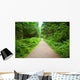 Walking Path in Capilano Park, Vancouver Wall Mural
