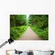 Walking Path in Capilano Park, Vancouver Wall Mural