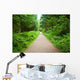 Walking Path in Capilano Park, Vancouver Wall Mural