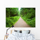 Walking Path in Capilano Park, Vancouver Wall Mural