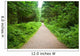 Walking Path in Capilano Park, Vancouver Wall Mural