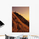 USA, Hawaii, Oahu, Mountain Bbiker at top of hill at sunset Wall Mural