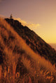 USA, Hawaii, Oahu, Mountain Bbiker at top of hill at sunset Wall Mural