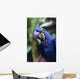 Blue and yellow Hyacinth Macaw bird Wall Mural