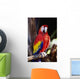 Closeup Of Colourful Red Parrot Standing On Tree Limb Wall Mural