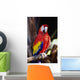 Closeup Of Colourful Red Parrot Standing On Tree Limb Wall Mural