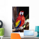 Closeup Of Colourful Red Parrot Standing On Tree Limb Wall Mural